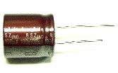 100V  100uF  AUDIO          1pcs