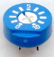 G12P-B101   100 ohm