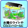 ̃CgCO2Rg[